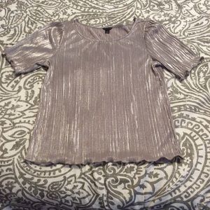 Ann Taylor Silver Top